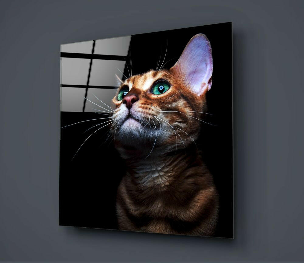 Insigneart USA Insigneart USA Kitten Glass Wall Art