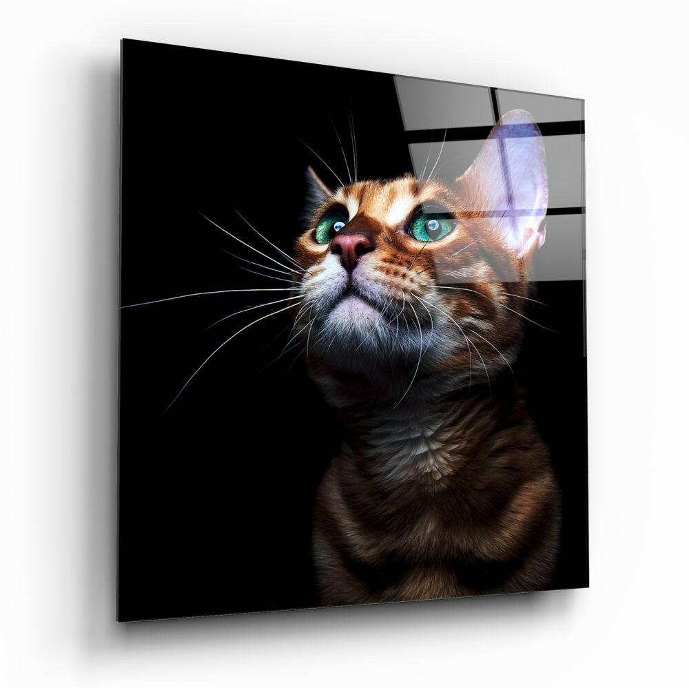 Insigneart USA Insigneart USA Kitten Glass Wall Art