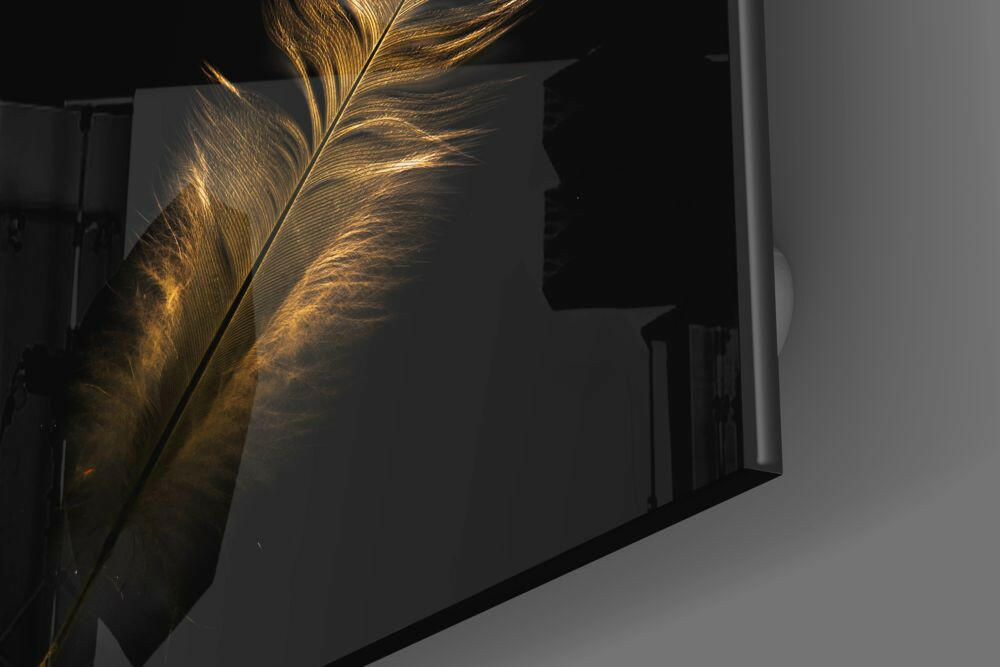 Insigneart USA Insigneart USA Colored Feather Glass Wall Art