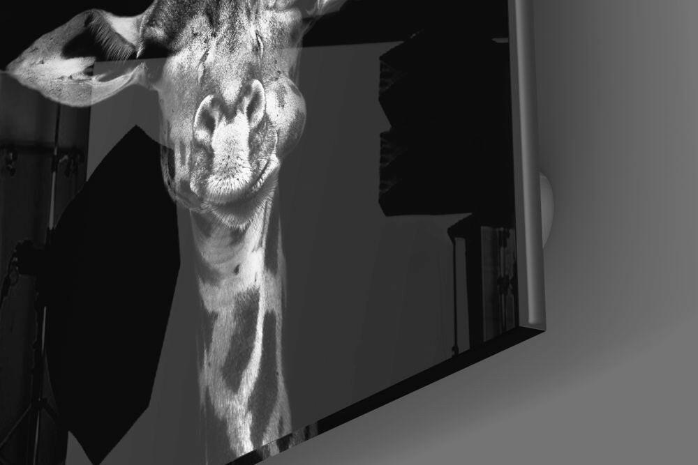 Insigneart USA Insigneart USA Giraffe Glass Wall Art