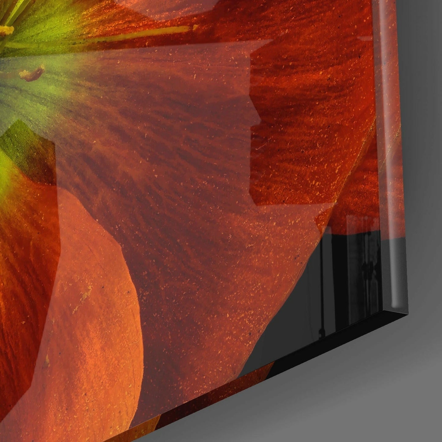 Insigneart USA Insigneart USA Flower Glass Wall Art