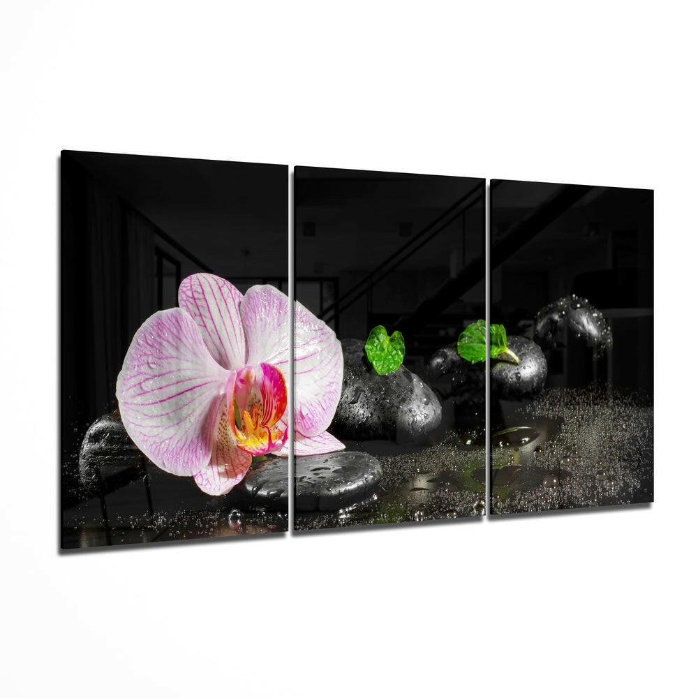 Insigneart USA Insigneart USA Orchid Mega Glass Wall Art