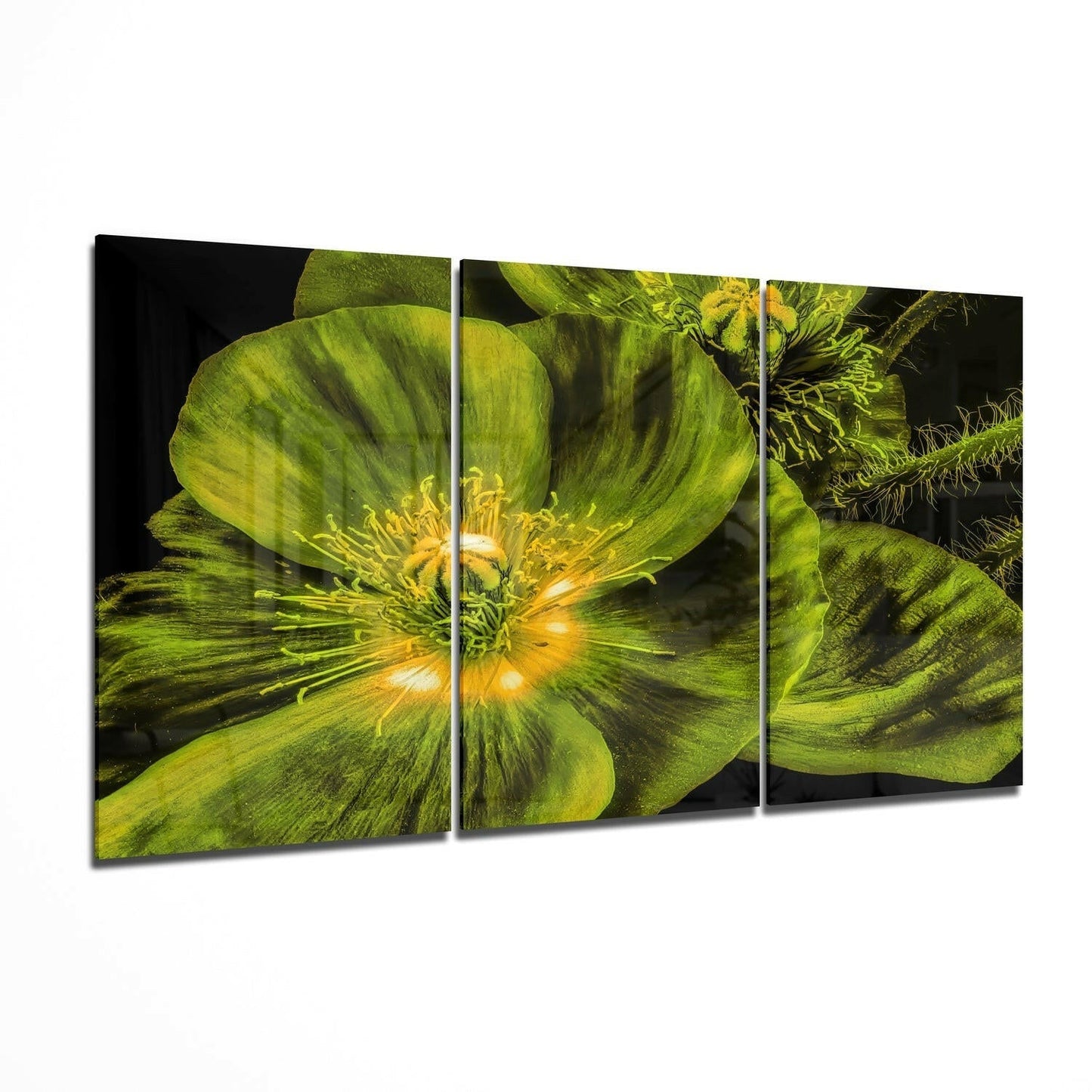 Insigneart USA Insigneart USA Flower Glass Wall Art
