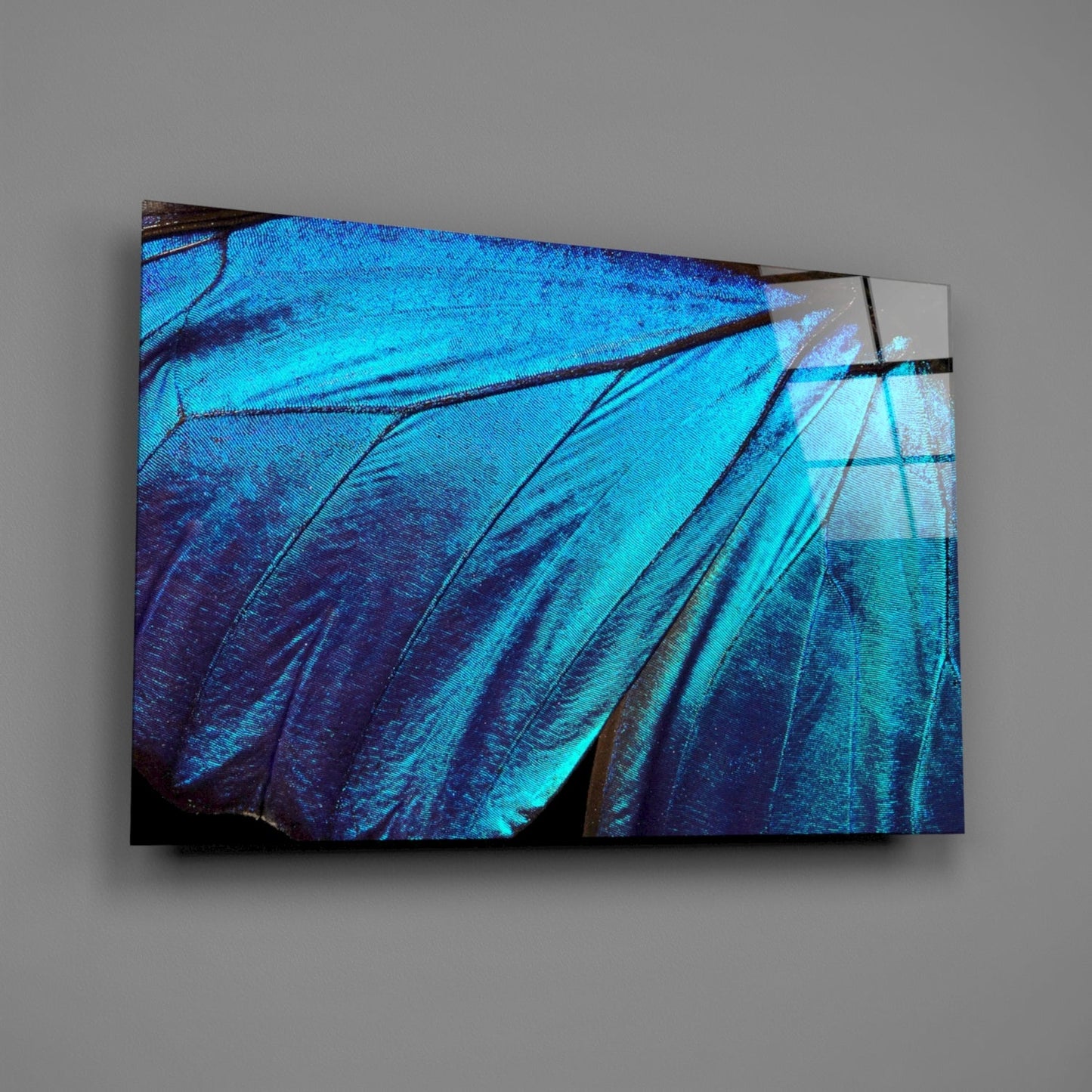 Insigneart USA Insigneart USA Butterfly Wing Glass Wall Art