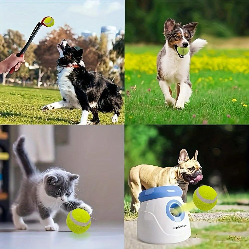 12 packs of small dog tennis balls, pet toys for playing and training