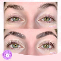 PERMANIA Eyebrow Lamination kit Lash Lift Kit Cruelty Free Eyebrow Perm Kit Includes All Tools & Accessories Eyelash Curlers