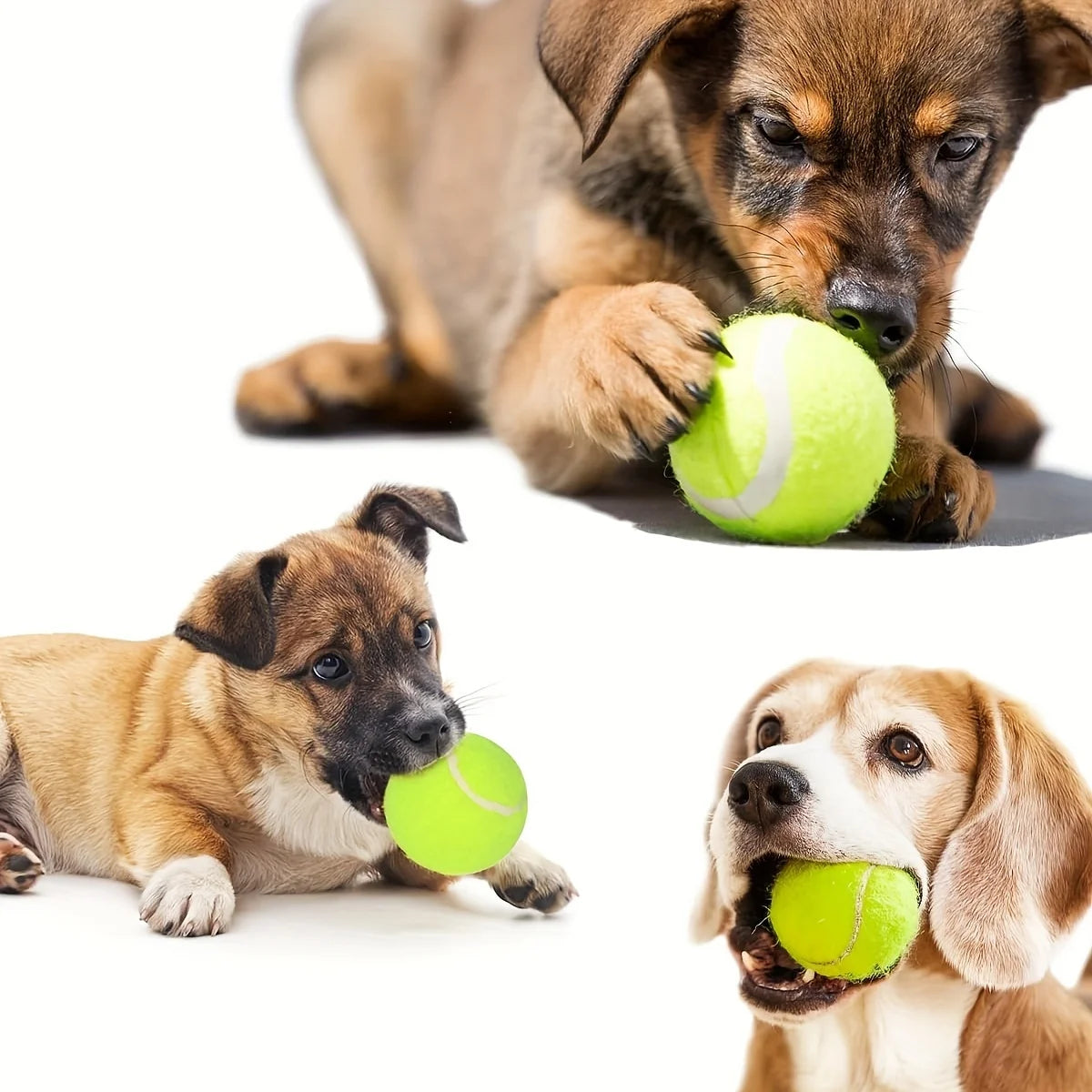 12 packs of small dog tennis balls, pet toys for playing and training