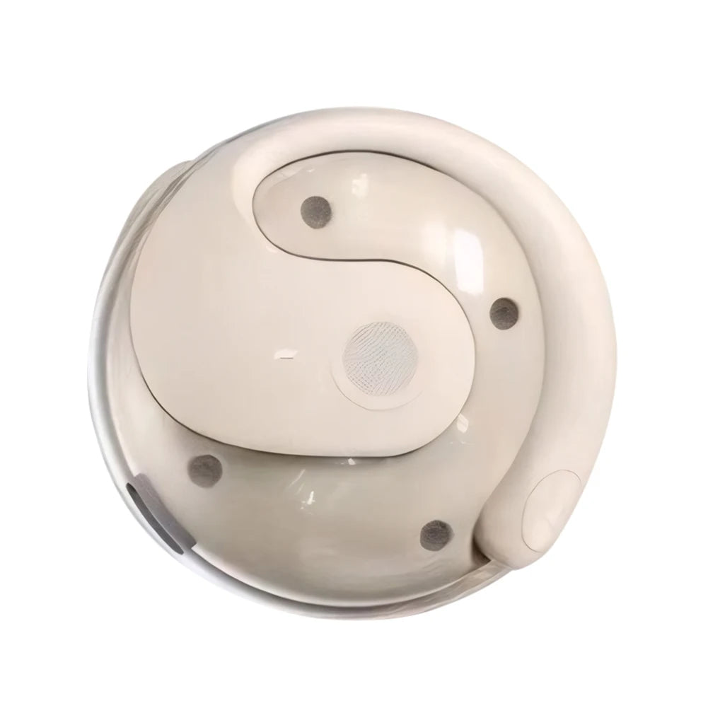 AI Translator Earbuds Wireless Bluetooth Real-Time Translators Headphones 144 Languages Voice translators for Business Travel