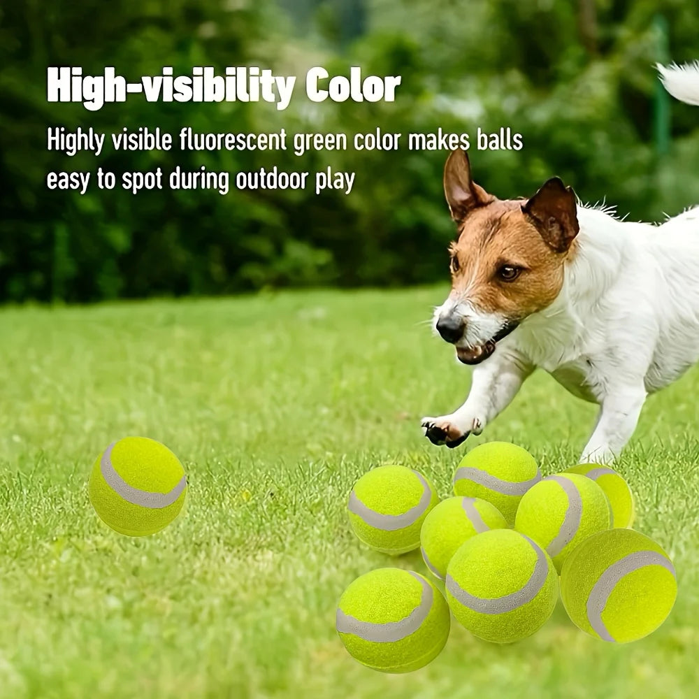 12 packs of small dog tennis balls, pet toys for playing and training
