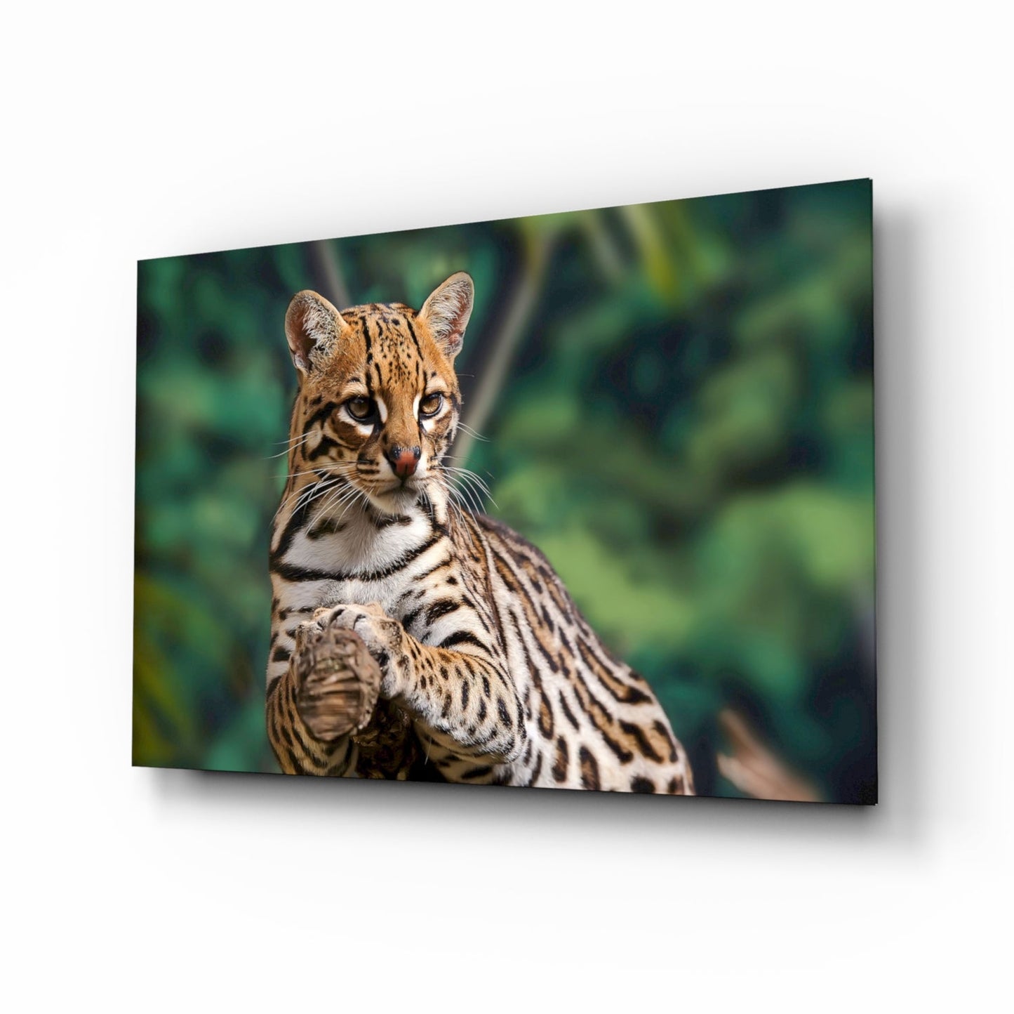 Insigneart USA Insigneart USA Cheetah Glass Wall Art