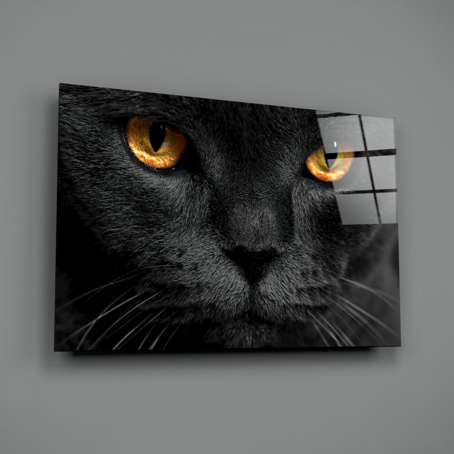 Insigneart USA Insigneart USA Cat Glass Wall Art