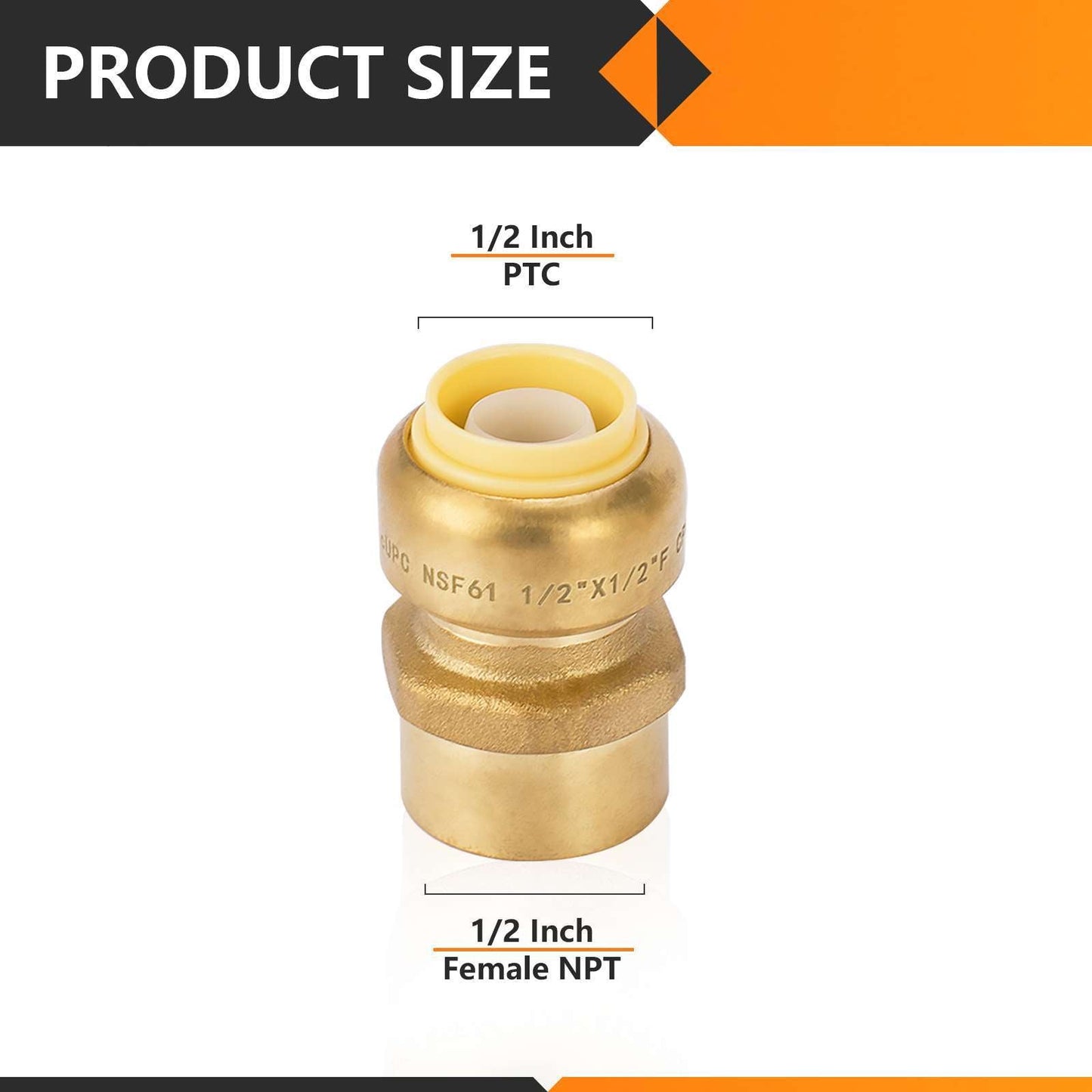 1/2" x 1/2" F Push Fit Female Adapter
