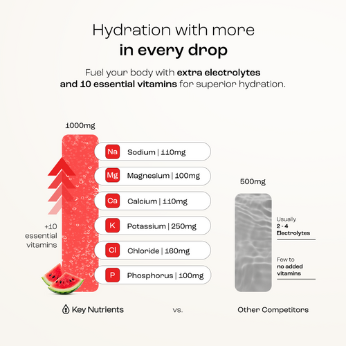 Electrolyte Recovery Plus Powder (Sugar-Free)