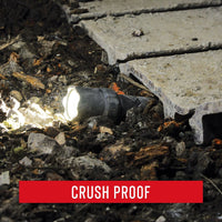 COAST Polysteel 250 Heavy-Duty 390 Lumen LED Twist Focus Flashlight with 3 x AAA Batteries, 4.1 oz. EasyOptionXY LLC