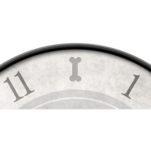 Westclox Gray Love Paws 10" Analog QA Wall Clock - Cute and Stylish Timekeeping for Animal Lovers. EasyOptionXY LLC