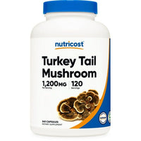 Nutricost Turkey Tail Mushroom Capsules 1200mg, 120 Servings (240 Capsules) Supplement EasyOptionXY LLC