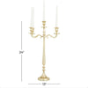 DecMode Traditional Five Tulip Shaped Candelabra Style Candle Holder, 13"W x 24"H with Aluminum Gold Polished Finish EasyOptionXY LLC
