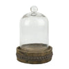 Medium Rustic Wood with Bell Shaped Cloche EasyOptionXY LLC