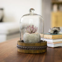 Medium Rustic Wood with Bell Shaped Cloche EasyOptionXY LLC