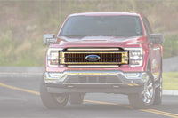 Morimoto Ford F-150 (2021+) XBG LED DRL Grille Inserts OffRoadUSA.com