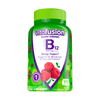 Vitafusion Vitamin B12 Gummy Vitamins; Raspberry Flavored; 140 Count EasyOptionXY LLC
