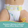 Pampers Swaddlers Hypoallergenic Soft Diapers - Size 1, 164 Count EasyOptionXY LLC