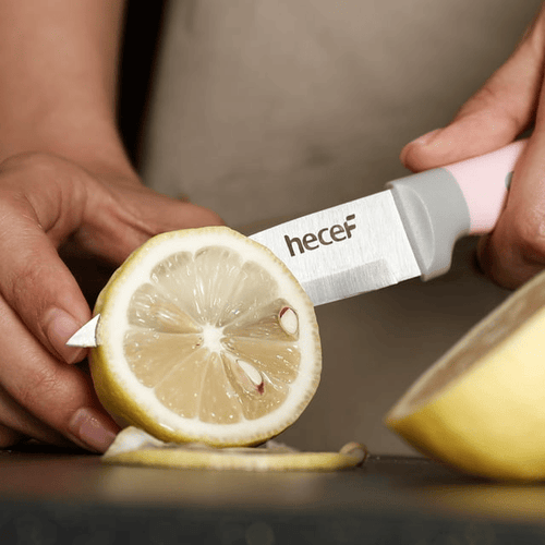 Hecef Kitchen Knife Block Set, 14Pcs High Carbon Stainless Steel Cutlery Knife Set with Sharpener EasyOptionXY LLC