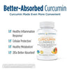 Nordic Naturals Zero Sugar Curcumin Gummies, 200 Mg, Non-GMO, 60 Count EasyOptionXY LLC
