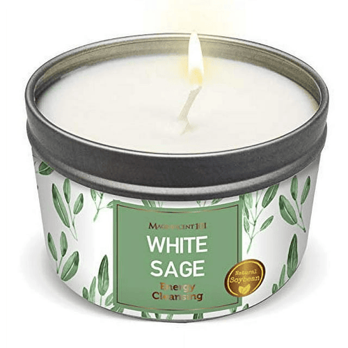 MAGNIFICENT101New Style Pure White Sage Smudge Candle for House Energy Cleansing, Banishes Negative Energy I Purification and Chakra Healing - Natural Soy Wax Tin Candle (Pure White Sage, 6 oz) EasyOptionXY LLC