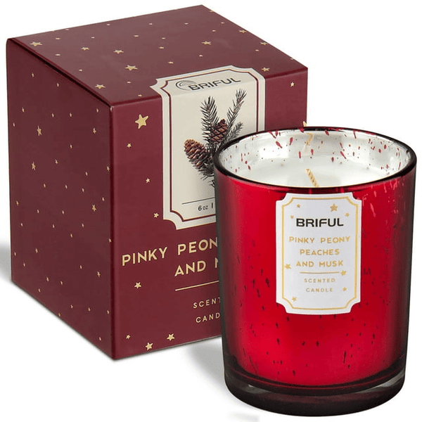 Briful Scented Candles Pine Candle Aromatherapy Soy Candle Jar for Help Relaxing Stress Relief Candles Christmas Gifts Red EasyOptionXY LLC