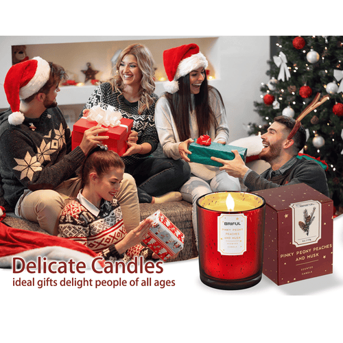 Briful Scented Candles Pine Candle Aromatherapy Soy Candle Jar for Help Relaxing Stress Relief Candles Christmas Gifts Red EasyOptionXY LLC