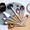 ReaNea Rose Gold Silverware Serving Set 10-Pieces, Stainless Steel Flatware Cutlery Serving Utensil Set EasyOptionXY LLC