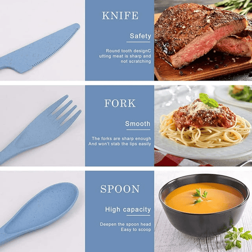 2 Pack Reusable Travel Utensils Set with Case, Wheat Straw Portable Knife Fork Spoons Tableware, Eco-Friendly Cutlery for Kids Adults Travel Picnic Camping Utensils, Blue and Pink EasyOptionXY LLC