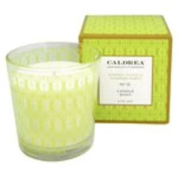 Caldrea - Candle Bougie Ginger Pomelo - 8.1 oz. EasyOptionXY LLC