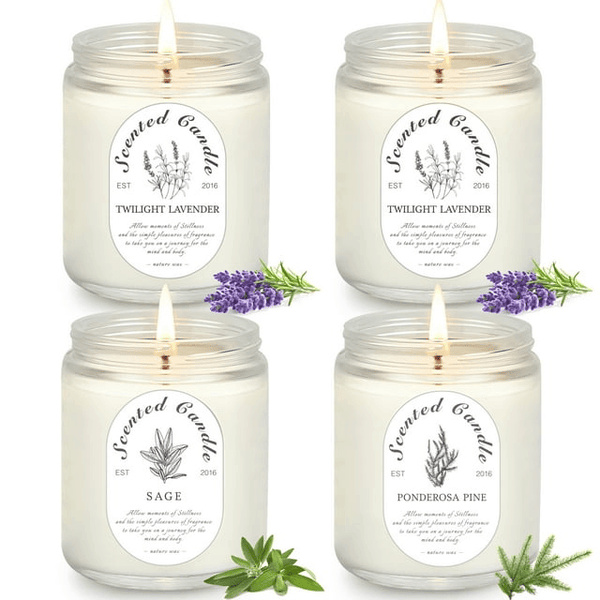 VGGFDY Scented Candles for Women Gift Aromatherapy Soy Wax Candle Set with Strongly Fragrance Jar Candles, 25.4 oz/set EasyOptionXY LLC
