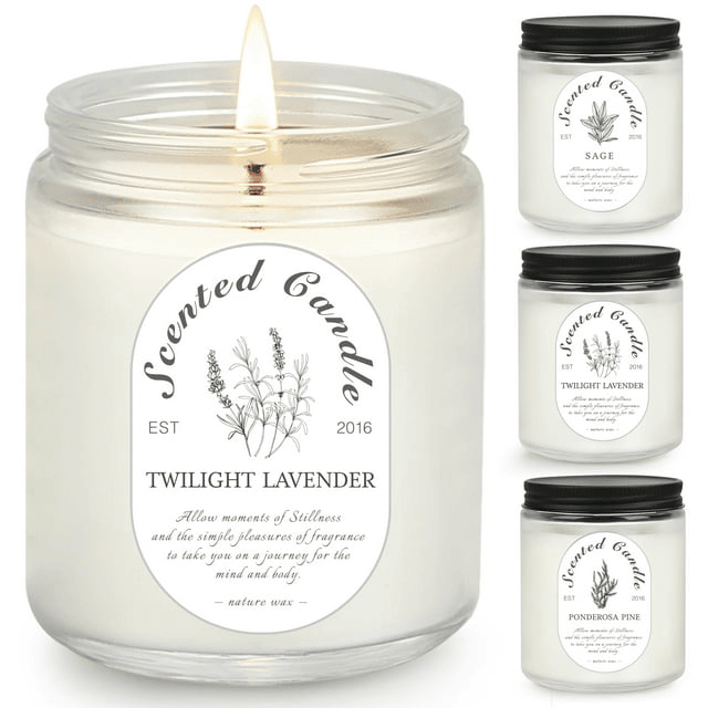VGGFDY Scented Candles for Women Gift Aromatherapy Soy Wax Candle Set with Strongly Fragrance Jar Candles, 25.4 oz/set EasyOptionXY LLC