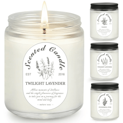 VGGFDY Scented Candles for Women Gift Aromatherapy Soy Wax Candle Set with Strongly Fragrance Jar Candles, 25.4 oz/set EasyOptionXY LLC