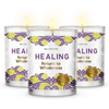 Magnificent 101 Long Lasting Healing Set of 3 Aromatherapy Candles | 3.5 Oz Each - 42 Hour Burn Time | Soy Wax Smudge Candle for Spiritual Meditation & Manifestation EasyOptionXY LLC