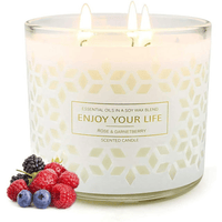 3 Wick Scented Candles Jar Candle Fruit Berries, 14.5oz EasyOptionXY LLC