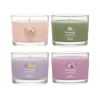 Yankee Candle Zen Oasis Signature Votive Mini Candles Variety Pack, 1.3 oz Each (Pack of 4) EasyOptionXY LLC