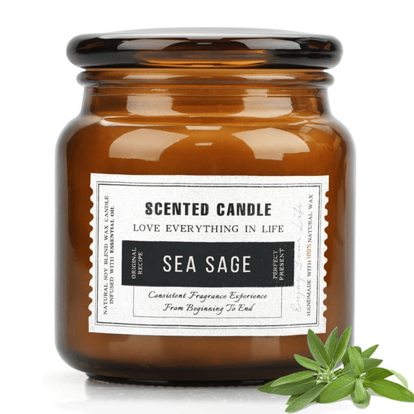 Sea Sage Scented Candles for Home, Soy Wax Amber Glass Jar Decorative Aromatherapy Candle, 15.5oz EasyOptionXY LLC
