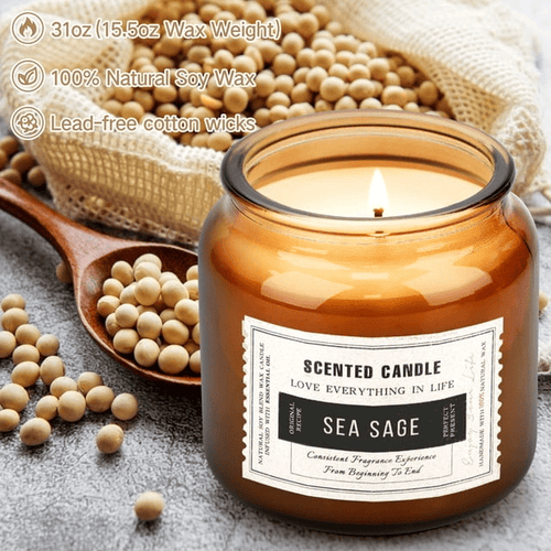 Sea Sage Scented Candles for Home, Soy Wax Amber Glass Jar Decorative Aromatherapy Candle, 15.5oz EasyOptionXY LLC