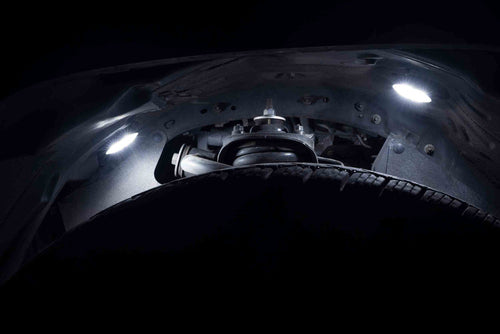 Morimoto Rock Light Kit: White (4 PC) OffRoadUSA.com