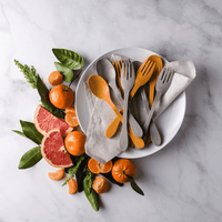 Knork Eco Togo Ware Reusable Bamboo Astrik Eco Plant-Based Utensil Lunch Pack EasyOptionXY LLC