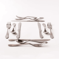 Knork Lite Stainless Steel, 12 Piece Set (custom service for 4), Matte brushed finish EasyOptionXY LLC