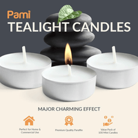 PAMI Premium Tealight Candles Unscented Paraffin Small Candles in Bulk, 100-Pack EasyOptionXY LLC