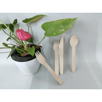 TXV Mart Wooden Disposable Forks, 100pcs, 6in Biodegradable Fork, Compostable Forks, Compostable Cutlery, Wooden Disposable Cutler EasyOptionXY LLC