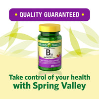 Spring Valley Vitamin B12 Microlozenges; Vitamin Supplement; 500 mcg; 200 Count EasyOptionXY LLC