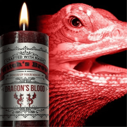 COVENTRY CREATIONS Witches Brew - Dragons blood Candle B015ALDDGQ EasyOptionXY LLC