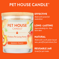 Mango Peach Candle EasyOptionXY LLC